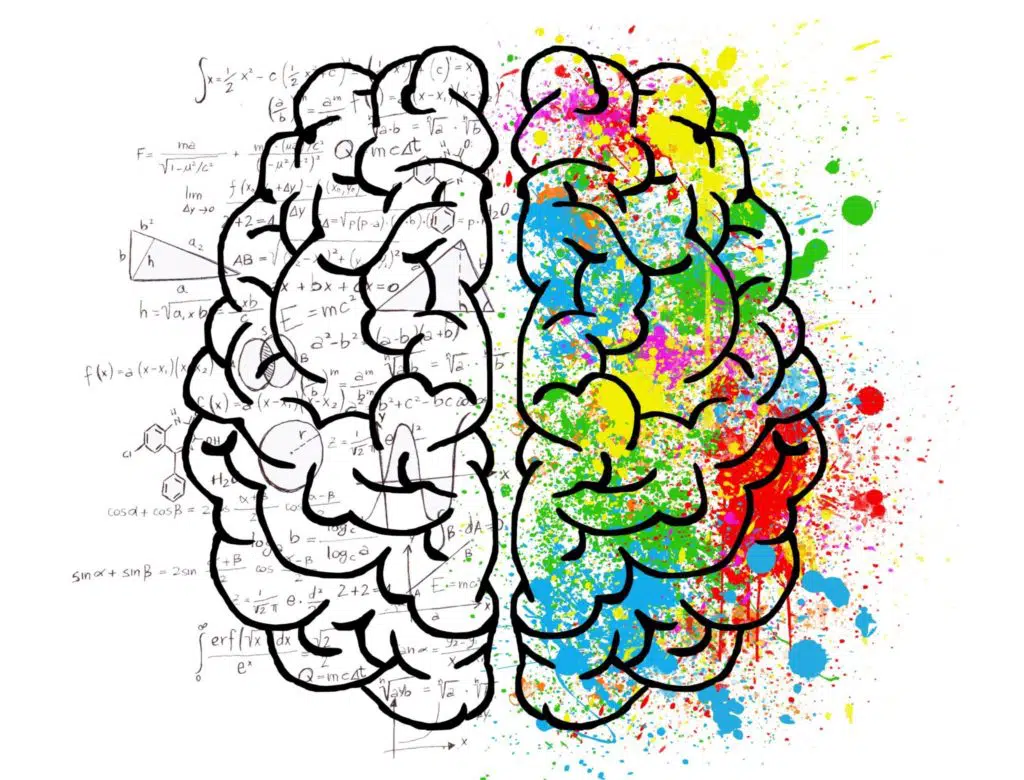 brain-mind-psychology-stockpack-pixabay-1024×780.jpg-1